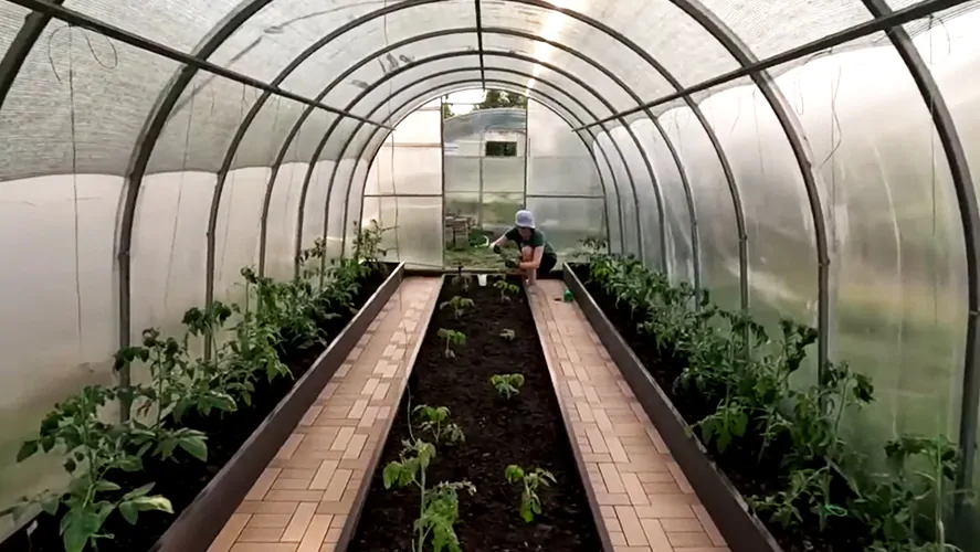 Отзывы о компании Woodgrand